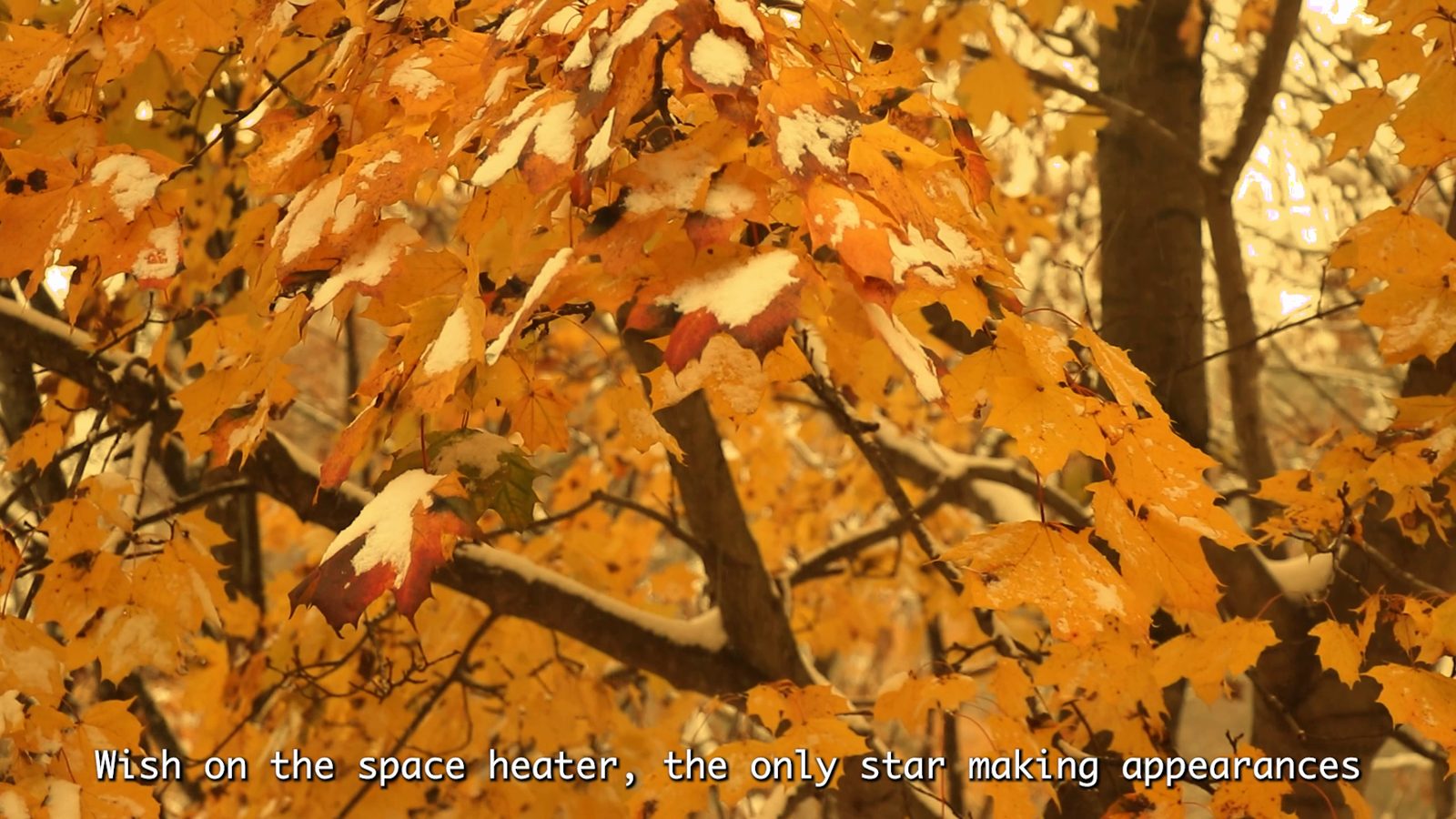 Film still: yellow autumn leaves with a subtitle from the poem.